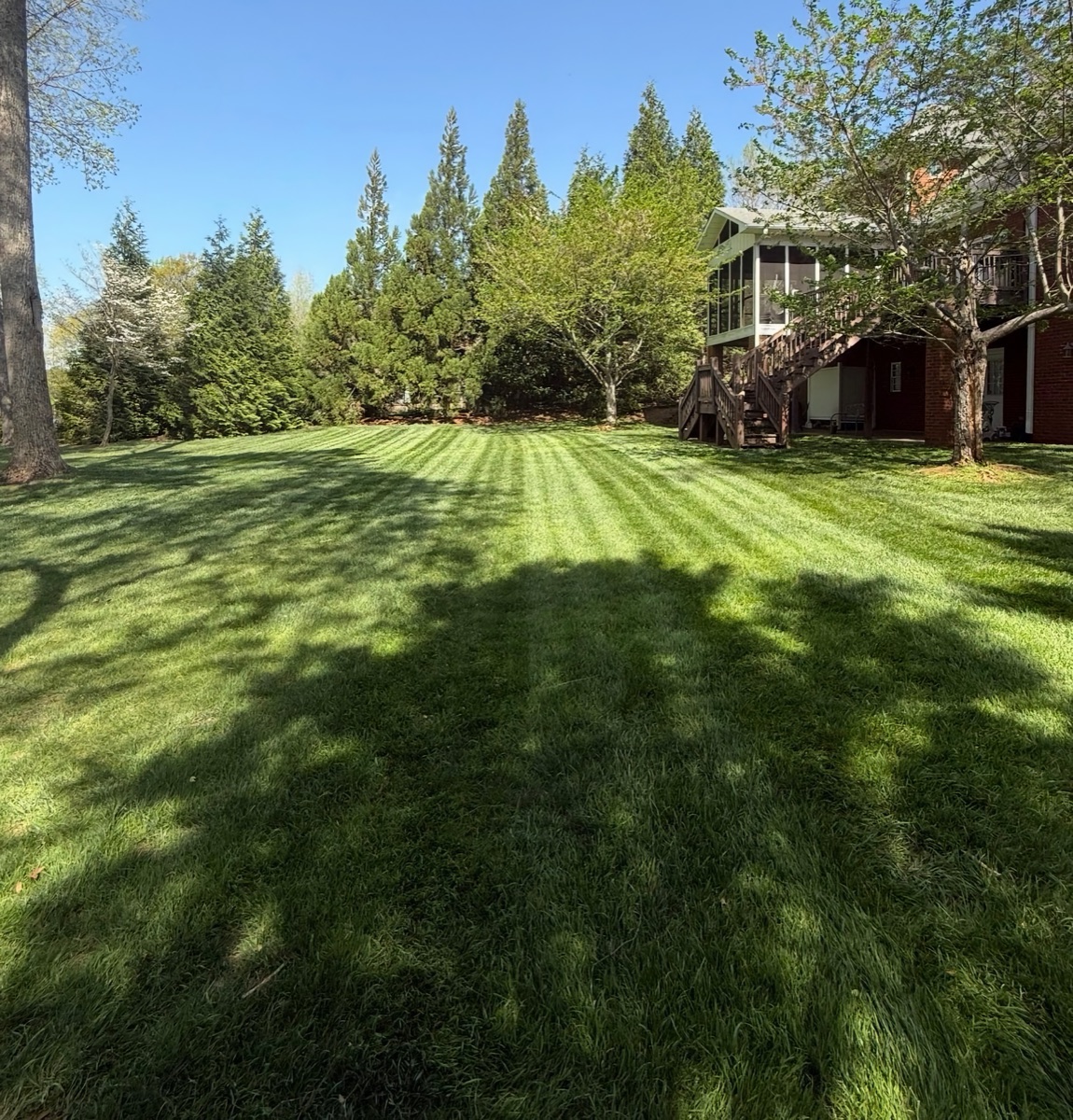 Freshly mown lawn with stripes