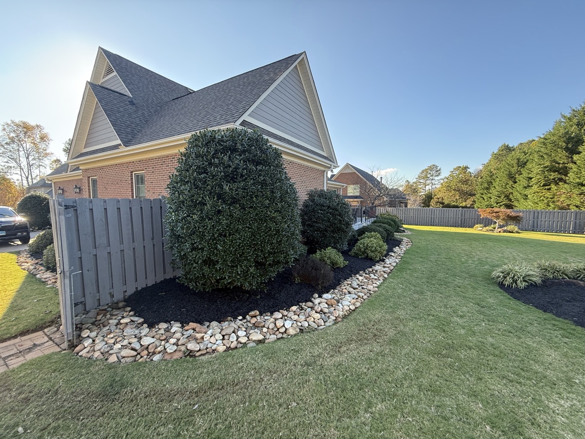 Shrubs framed by decorative stone