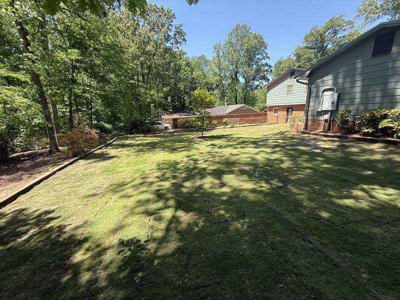 Backyard covered in freshly laid sod under mature trees