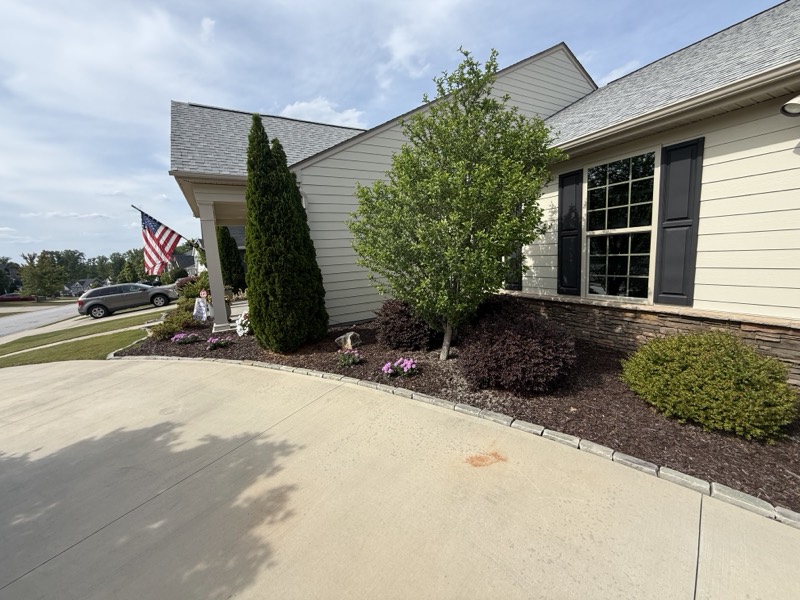 Fresh mulch around trees beside a house